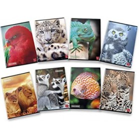 10 maxi quaderni 80gr 5mm quadretti 5mm medie e superiori.