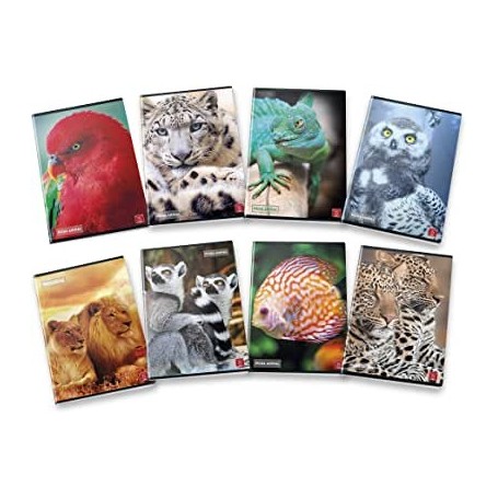 10 maxi quaderni 80gr 5mm quadretti 5mm medie e superiori.