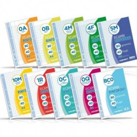 Ricambi rinforzati Blasetti in carta bianca usomano con 4 fori rinforzati in plastica 80 g/m² A4 1R conf.40.