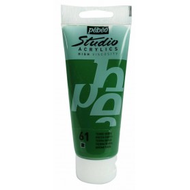 STUDIO ACRYLICS 100 ML TERRA VERDE