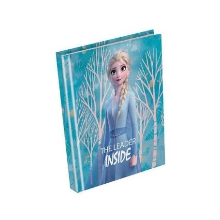 DIARIO SCUOLA FROZEN NON DATATO