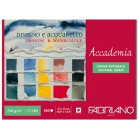 MAXI BLOCCO FABRIANO ACCADEMIA DISEGNO colla 1 l 27x35