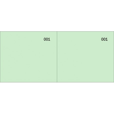 Scontrini Num 1-100 2 Sez Verd5,8X13