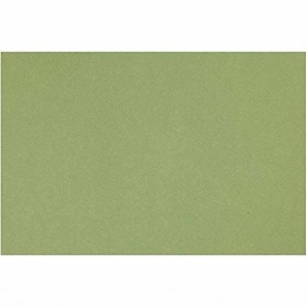 Foglio CANSON MI TEINTES 50x65 cm 160 g m 475 - Verde mela