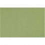 Foglio CANSON MI TEINTES 50x65 cm 160 g m 475 - Verde mela