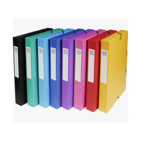 Scatola portadocumenti exabox dorso 40mm cartoncino lucido A4 Exacompta