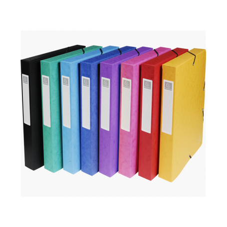 Scatola portadocumenti exabox dorso 40mm cartoncino lucido A4 Exacompta