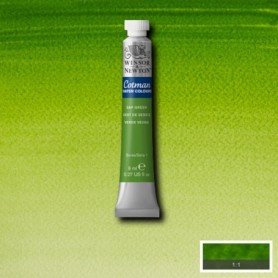 ACQUERELLO VERDE VESCICA 599 COTMAN 8ML