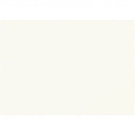 Foglio CANSON MI TEINTES 50x65 cm 160 g m 335 - Bianco