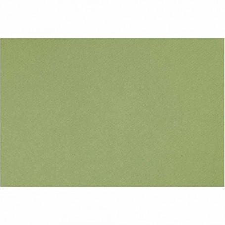 Foglio CANSON MI TEINTES 50x65 cm 160 g m 475 - Verde mela