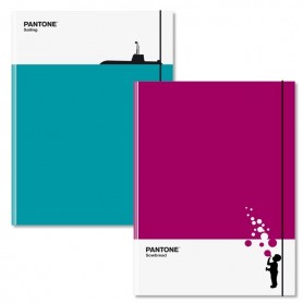 CARTELLETTA TRE LEMBI PANTONE